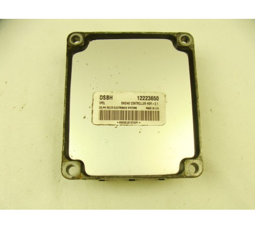 БЛОК УПРАВЛЕНИЯ OPEL 12223650 DSBH